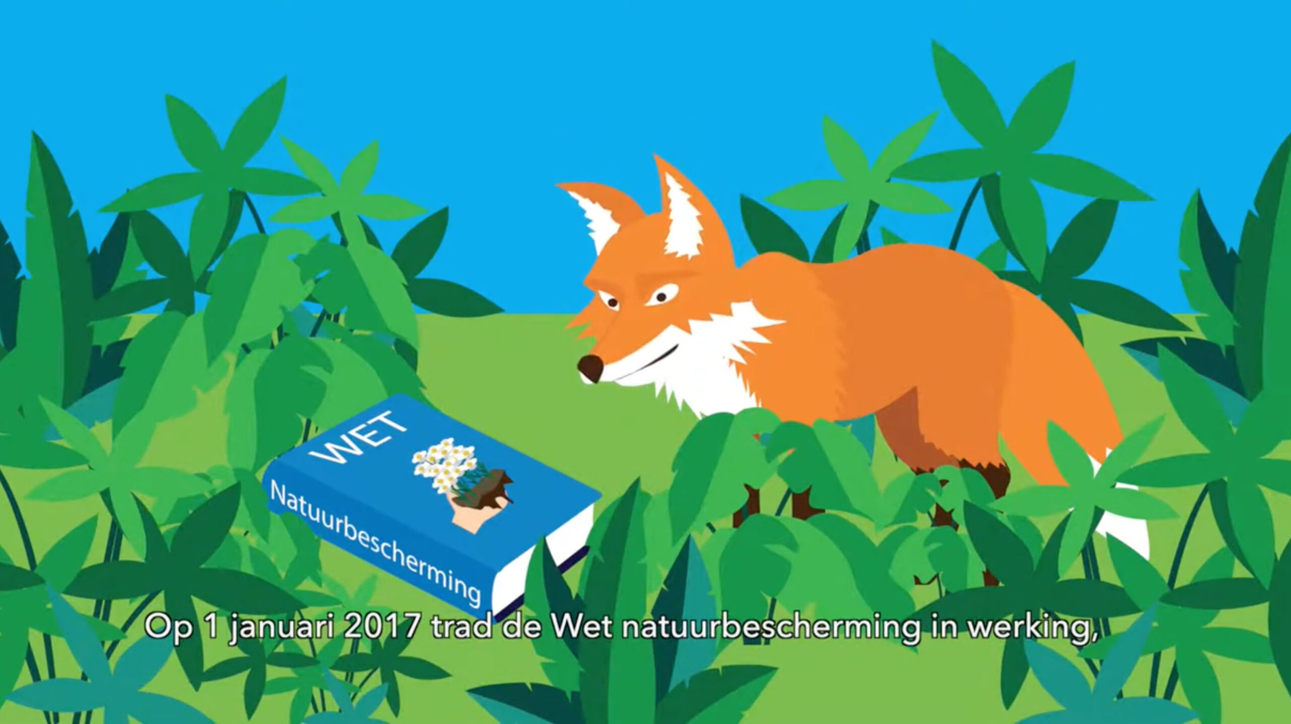 Waarom zou je een 2D animatie laten maken?